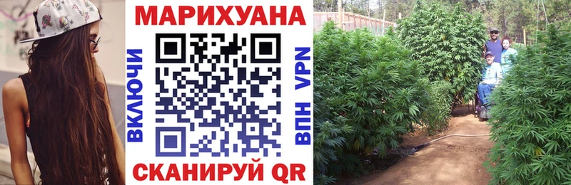Бошки марихуана ГИДРОПОН  Купить где  Каменка 